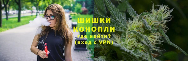 крисы Майский