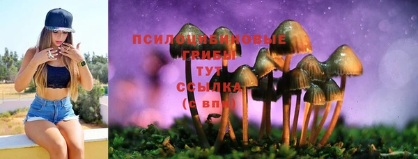 крисы Майский
