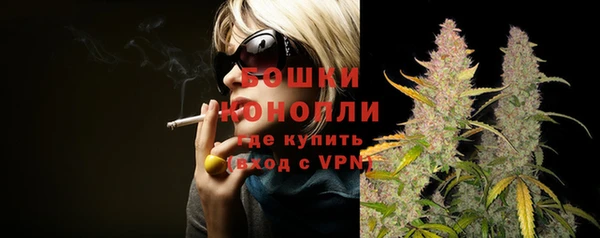 PSILOCYBIN Белокуриха