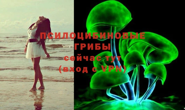 PSILOCYBIN Белокуриха