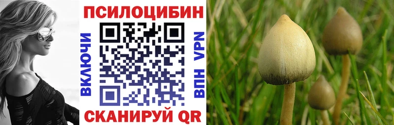 Псилоцибиновые грибы ЛСД Гуково