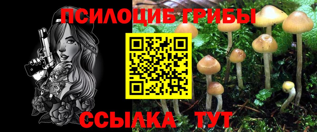 Псилоцибиновые грибы ЛСД  Вход с VPN  Гуково  Галлюциногенные грибы Psilocybe 