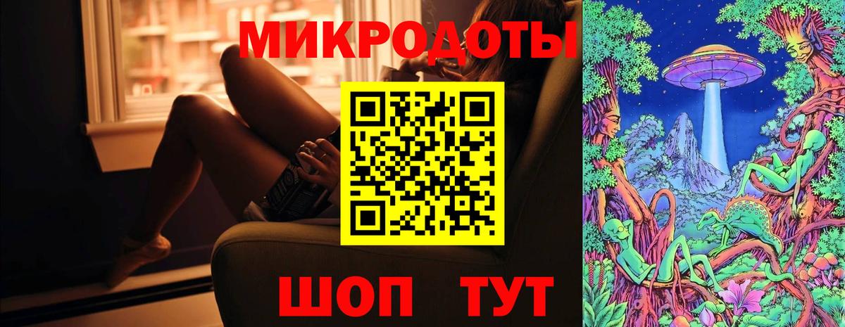 Псилоцибиновые грибы Cubensis Гуково